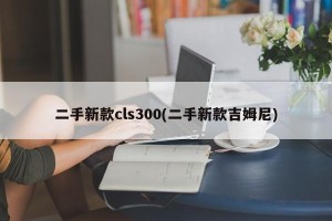二手新款cls300(二手新款吉姆尼)