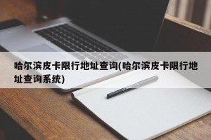 哈尔滨皮卡限行地址查询(哈尔滨皮卡限行地址查询系统)